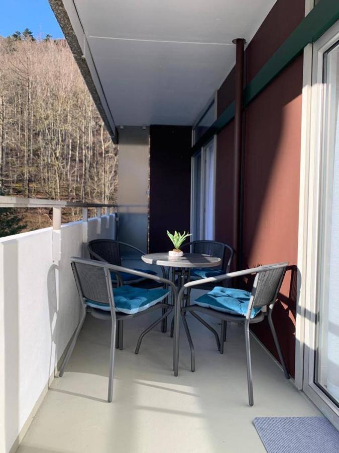 Mariposa 3 Incl Pool & Sauna Bad Harzburg Exteriér fotografie
